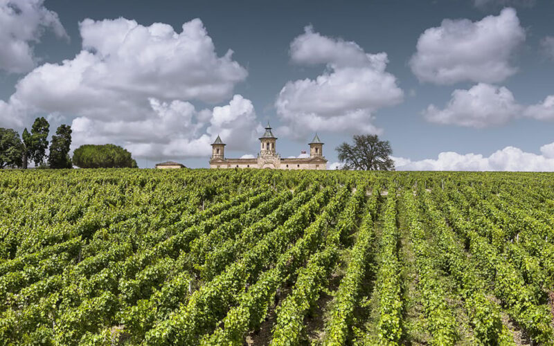 Médoc Morning Wine Tour - Winery & Tastings - Itinerary and Experience