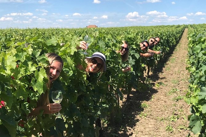 Medoc or Saint Emilion Wine Tasting and Chateau From Bordeaux - Logistics