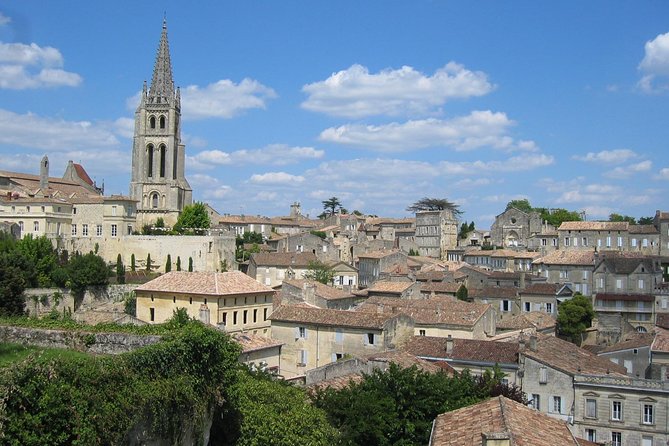 Medoc or Saint Emilion Wine Tasting and Chateau From Bordeaux - Reviews