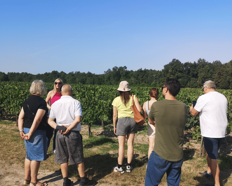 Médoc Wine Tour From Bordeaux: 2 Wineries & 6 Wines - Itinerary of the Tour