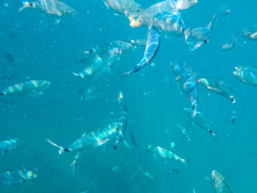 Medulin: Private Glass Bottom Boat Tour to Levan Island - Important Information