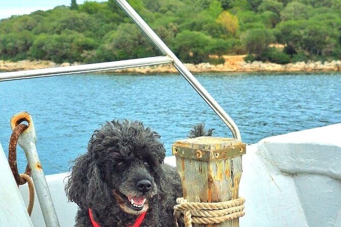 Medulin: Private Sunset Boat Cruise with Wine Tasting - Who Is This Tour Best For?