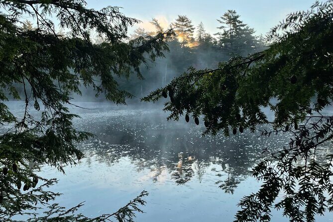 Medway Lakes Canoe Trip 3-Day - An In-Depth Look at the Medway Lakes Canoe Trip