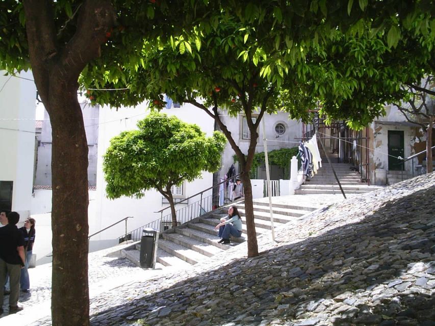 Meet Old Lisbon With a Fado Tour Guide - What to Expect on the Tour
