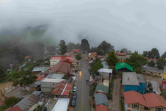 Meet San Jose del Pacífico in one day - Who Will Love This Tour?