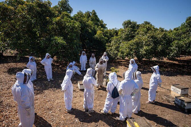 Meet the Bees Guided Apiary Tour and Honey Tasting - The Sum Up: Who Will Love This Tour?