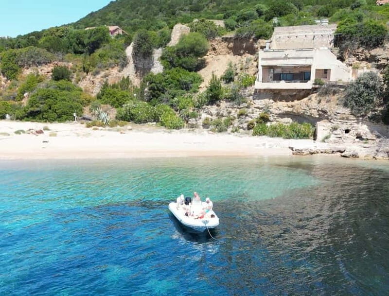Meet the Dolphins  Escursione in Gommone - RIB Excursion - What You Can Expect from the RIB Dolphin Tour