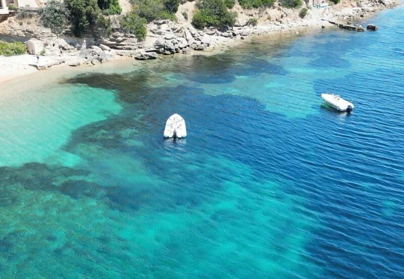 Meet the Dolphins  Escursione in Gommone - RIB Excursion - The Practical Side: Booking, Meeting, and What to Prepare