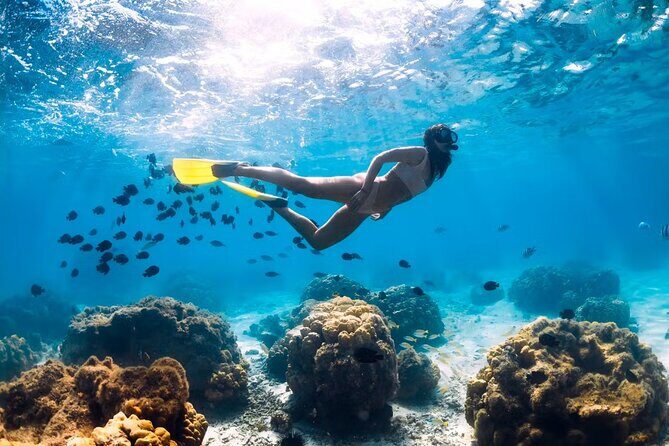 Meet the Famous Hidden Beach by Speedboat with Snorkeling - Who Will Love This Tour?