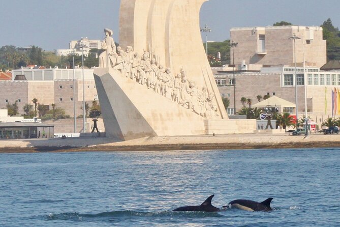 Meet the Lisbon Dolphins - Dolphin Watching in Lisbon - Coastal Scenery