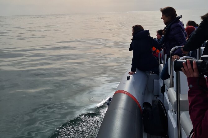 Meet the Lisbon Dolphins - Dolphin Watching in Lisbon - Onboard Amenities