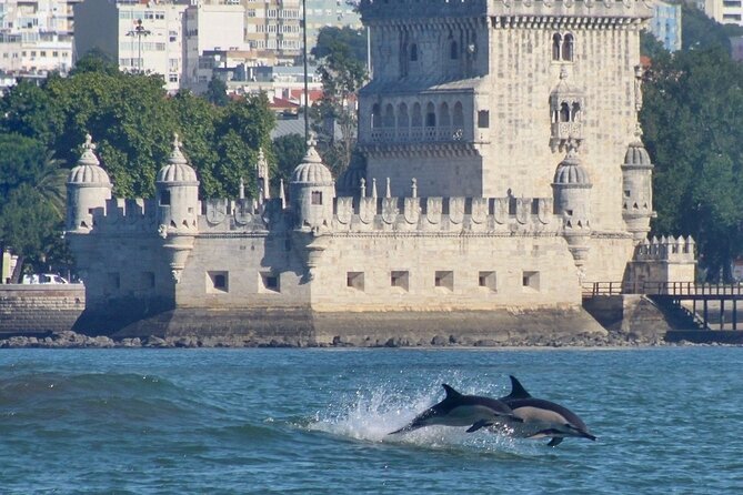 Meet the Lisbon Dolphins - Dolphin Watching in Lisbon - Meeting Point