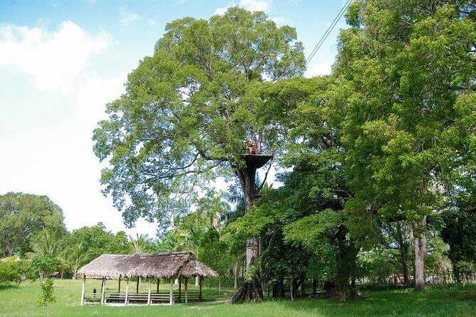 Mega Adrenaline - The Sum Up