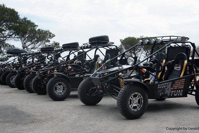 Mega Buggy Tours (Cala Millor, Cala Bona & Sa Coma / No Offroad) - Requirements for Participants