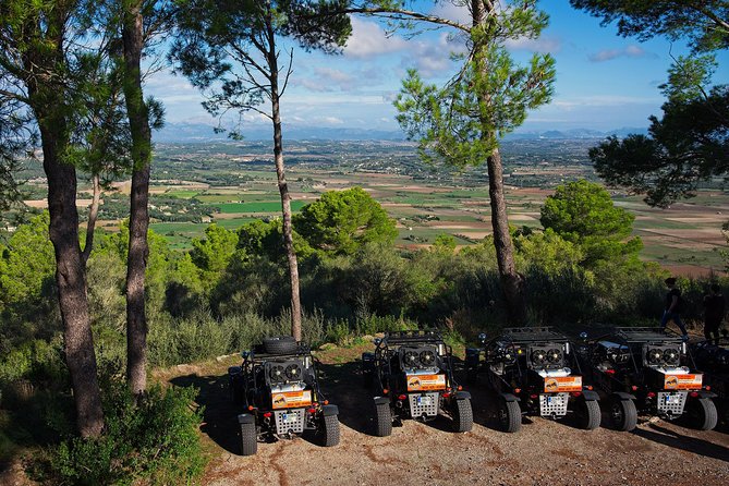 Mega Buggy Tours (Cala Millor, Cala Bona & Sa Coma / No Offroad) - Tour Rating and Details