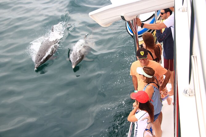 Mega Yacht Whale Watching ALL-Inclusive Daytime Adventure. - Accessibility and Transportation