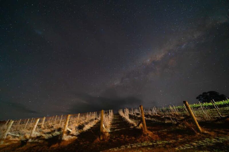 Megalong Valley: Wine Tasting and Stargazing Experience - Key Points