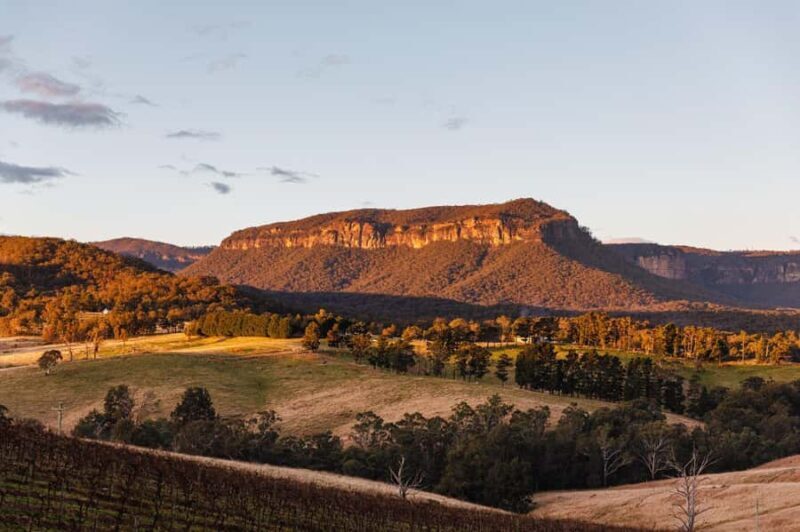 Megalong Valley: Wine Tasting and Stargazing Experience - An Authentic Taste of Megalong Valley’s Night Sky and Vines