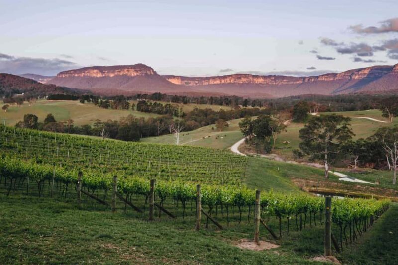 Megalong Valley: Wine Tasting and Stargazing Experience - Who should consider this tour?