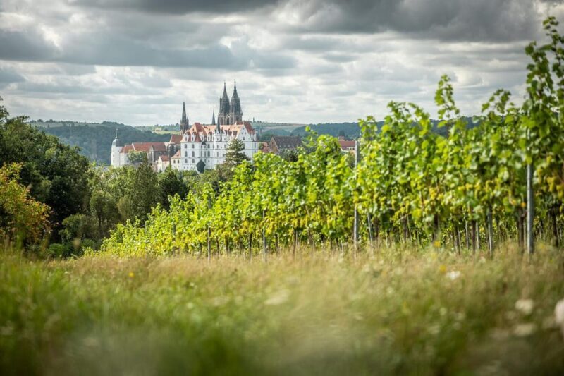 Meissen: Wine hike in the Proschwitz vineyards incl. 3-person wine tasting - The Heart of the Experience: What to Expect