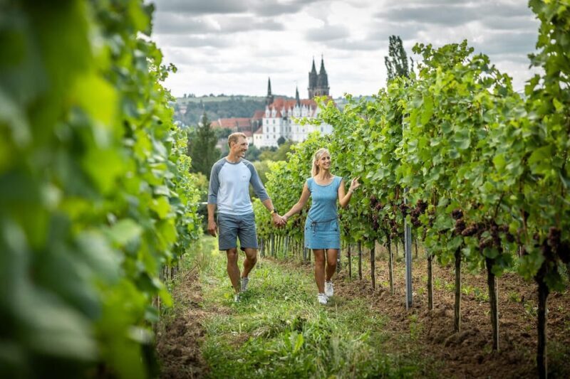 Meissen: Wine hike in the Proschwitz vineyards incl. 3-person wine tasting - Frequently Asked Questions