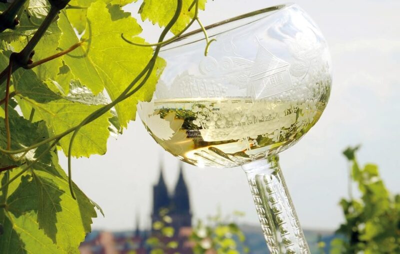 Meissen: Wine hike to the Rothes Gut winery including 3-person wine tasting - An Authentic Taste of Saxony’s Wine Heritage