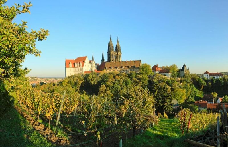 Meissen: Wine hike to the Rothes Gut winery including 3-person wine tasting - Detailed Breakdown of the Experience