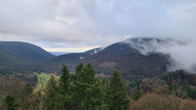 Meistersel Castle: adventure tour of the medieval castle - An In-Depth Look at the Meistersel Castle Tour