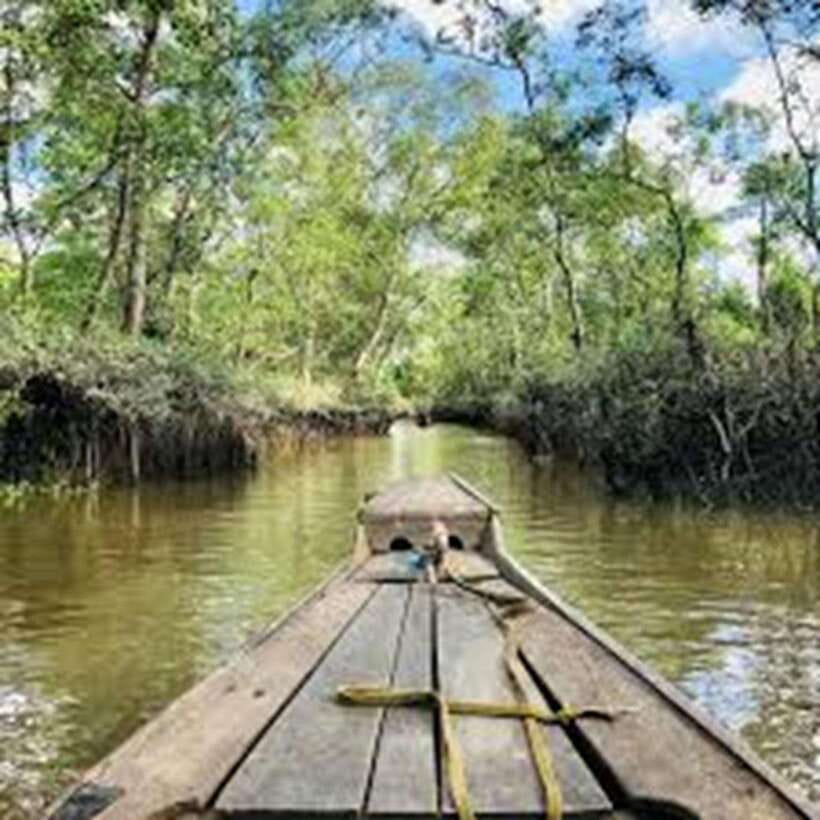 MEKONG DELTA TOUR TO CAI BE – TAN PHONG ISLAND FULL DAY - Overview of the Mekong Delta Tour