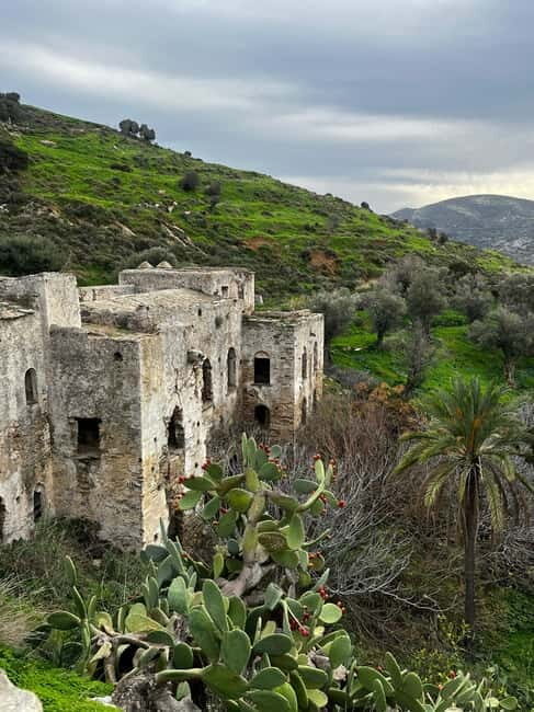 Melanes Tour: Kouros, culture,village life & local flavours - Introduction: An Authentic Slice of Naxos Life