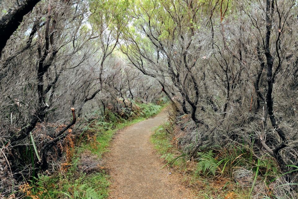 Melbourne: 12 Apostles, Great Otways and Great Ocean Road - Directions