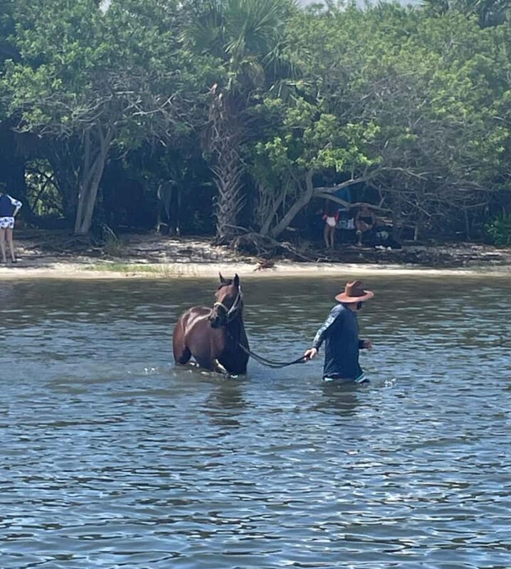 Melbourne: 2-Hour Dolphin & Manatee River Tour - Final Thoughts: Is It Worth It?