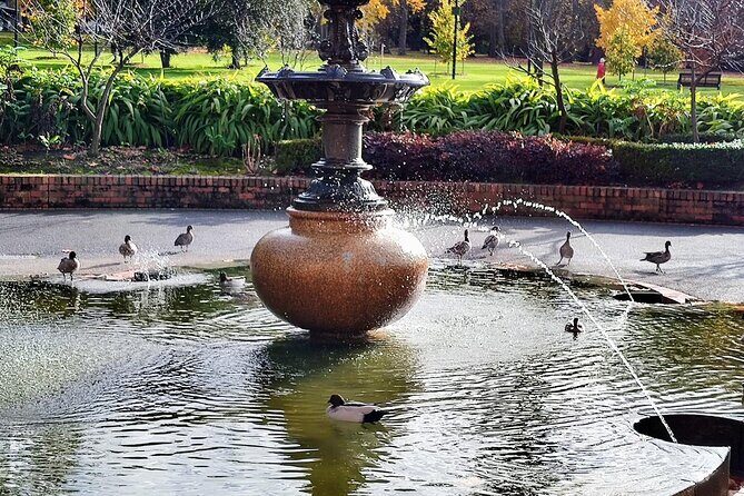 Melbourne and Moonlit Sanctuary Shore Excursion - The Itinerary in Detail