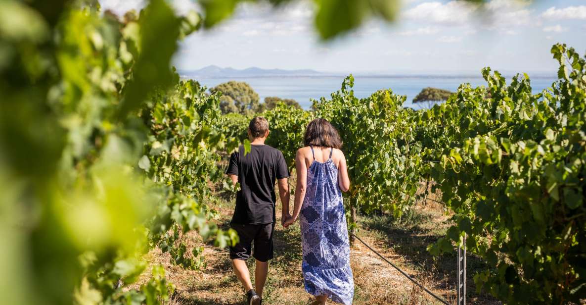 Melbourne: Around the Bay Food & Wine Taste Trail - Key Points