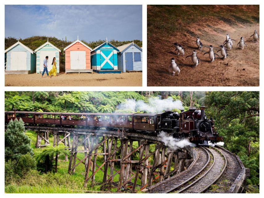 Melbourne: Brighton Boxes, Puffing Billy, and Penguin Parade - Key Points