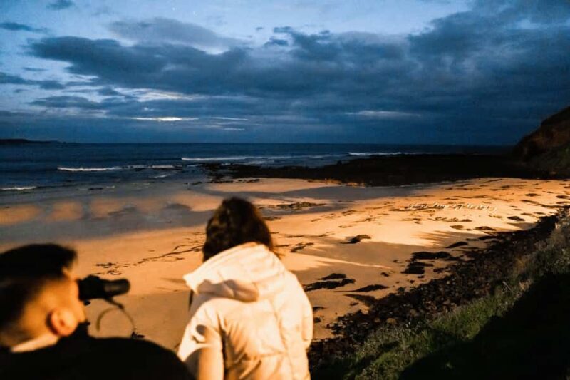 Melbourne: Bunurong Coast & Penguin Parade Day Trip - Setting Out: What to Expect on the Day