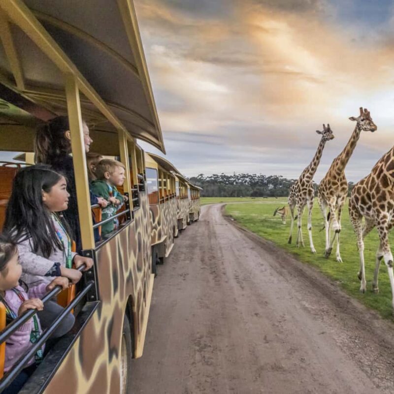 Melbourne City Card - 3 Days - Key Points