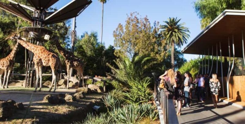 Melbourne City Surrounding Sightseeing Tour - FAQs