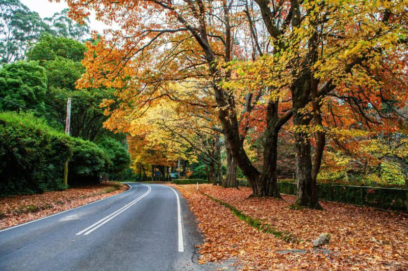 Melbourne: Coastal View & Phillip Isand Penguin Parade Tour - The Sum Up: Is This Tour Right for You?