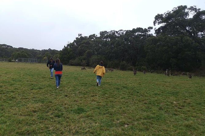 Melbourne Combo: Great Ocean Road Day Trip and Phillip Island Day Trip from Melbourne - Practical Tips for Your Trip