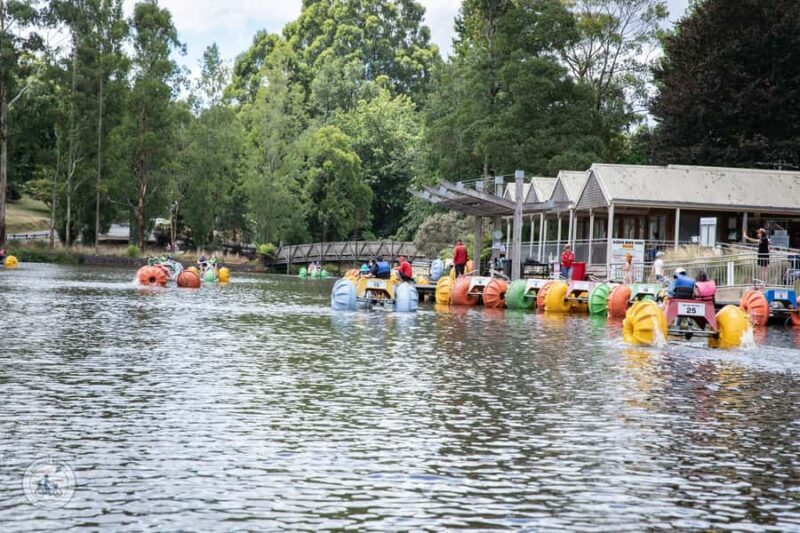 Melbourne: Dandenong Ranges & Yarra Valley Day Trip - The Sum Up