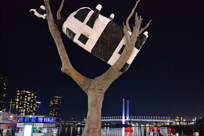 Melbourne Drive by Night - Private Tour - Value and Practical Considerations