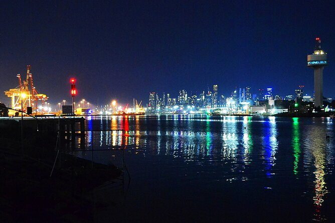 Melbourne Drive by Night - Private Tour - Who Is This Tour Best For?