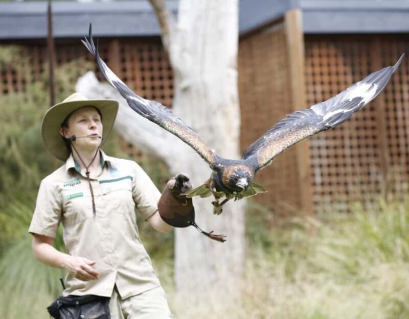 Melbourne: Flexi Pass - Pick 3, 5 or 7 Experiences - FAQ