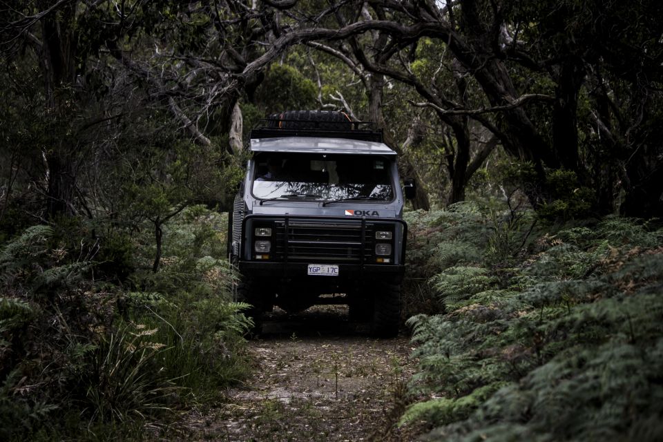 Melbourne: French and Phillip Island Wildlife Expedition - Key Points