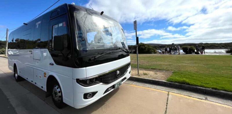 Melbourne: Great Ocean Road ExtendedTop Stops&London Bridge - Who Would Enjoy This Tour?