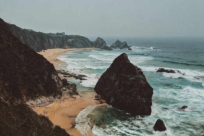 Melbourne: Great Ocean Road & Iconic Coastal Views Day Tour - Final Thoughts