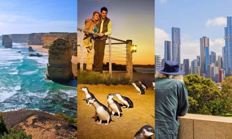 Melbourne: Great Ocean Road, Penguin Parade & Free City Tour - Practical Considerations
