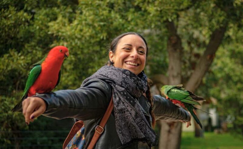 Melbourne: Great Ocean Road, Penguin Parade & Free City Tour - Value for Money