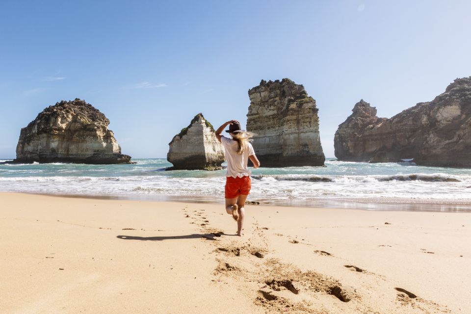Melbourne: Great Ocean Road & Rainforest Trip - Key Points